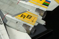 Grumman F-14A Tomcat (1/48)