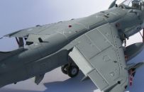 Sea Harrier