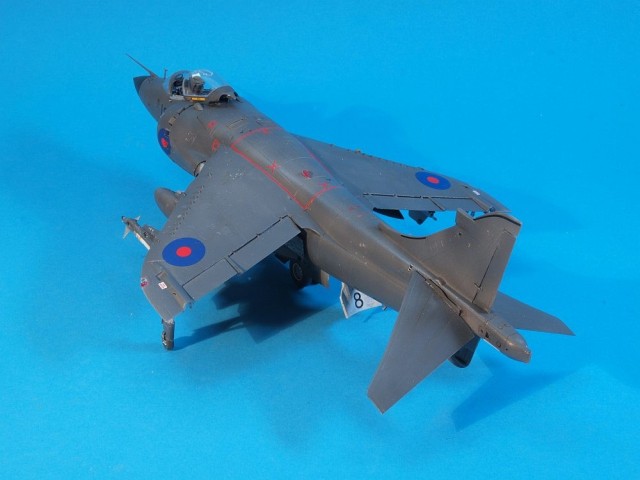 Sea Harrier FRS.1 (1/48)