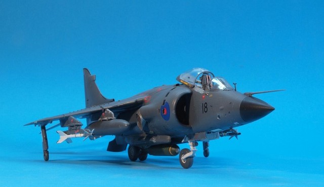 Sea Harrier FRS.1 (1/48)