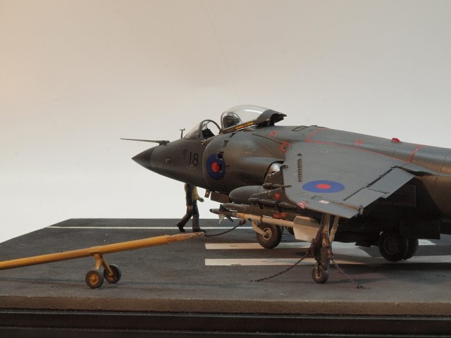 Sea Harrier FRS.1 (1/48)