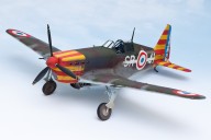 Jäger Morane-Saulnier MS 406C.1 (1/32)