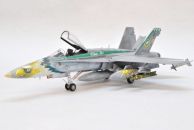 McDonnel Douglas F/A-18C Hornet (1/48)