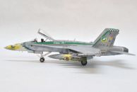 McDonnel Douglas F/A-18C Hornet (1/48)