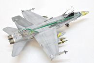 McDonnel Douglas F/A-18C Hornet (1/48)