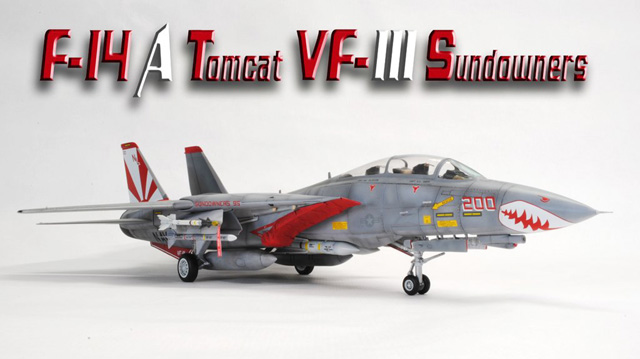 Jagdflugzeug Grumman F-14A Tomcat (1/48)