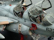 Grumman EA-6B Prowler der VAQ-135 Black Ravens M 1/48 von Norbert Mertens