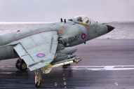Jagdflugzeug British Aerospace Sea Harrier FRS.1 (1/48)