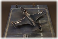 Aufklärer Grumman Panther (1/48)