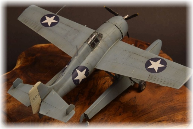 Jäger Grumman Wildcatfish (1/48)