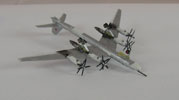 Tupolew Tu-95