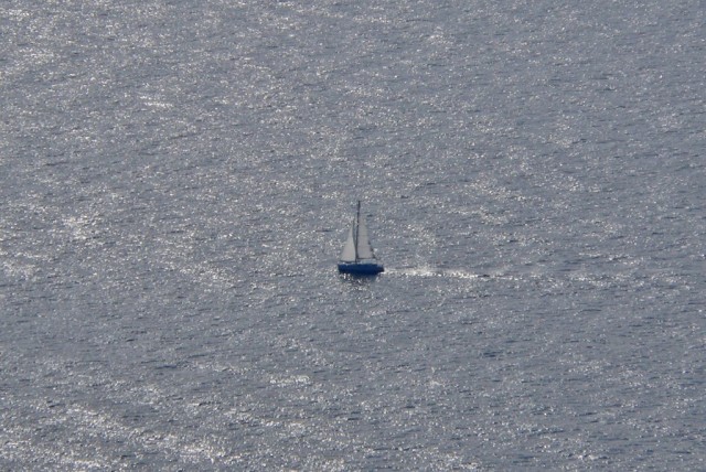 Segeln (Foto Thomas Träger)
